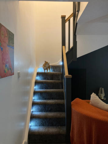 3 Bed Bungalow Loft — photo 5